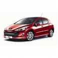 Насадки на глушитель для Peugeot 308 2007-2015